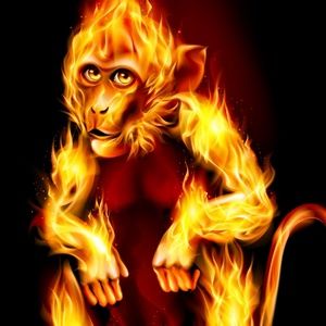 Meet your Posher, Parth